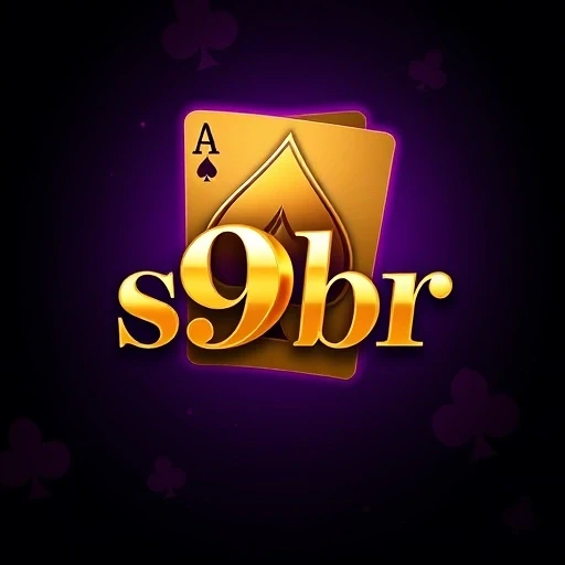 s9br logo